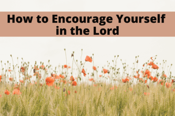 how-to-encourage-yourself-in-the-lord-berries-and-grace